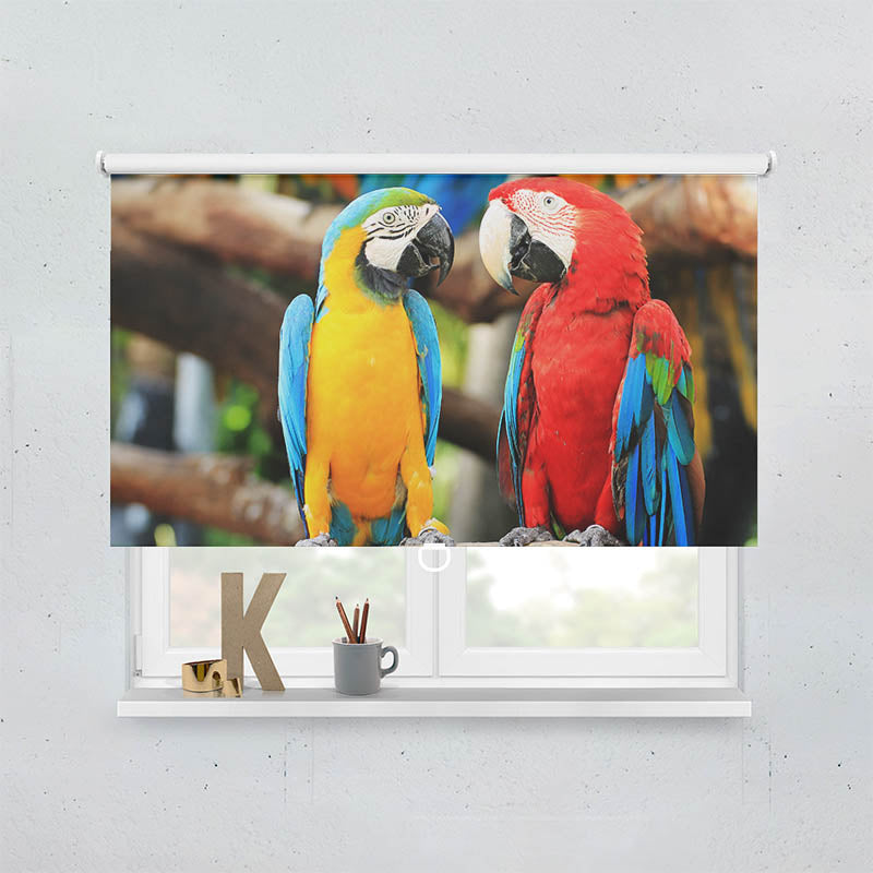 Plissee Motiv Papageien