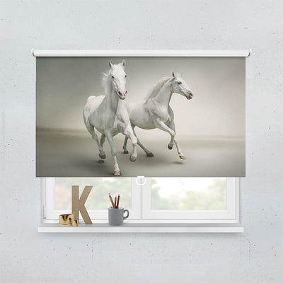 Plissee Motiv Pferde Schimmel