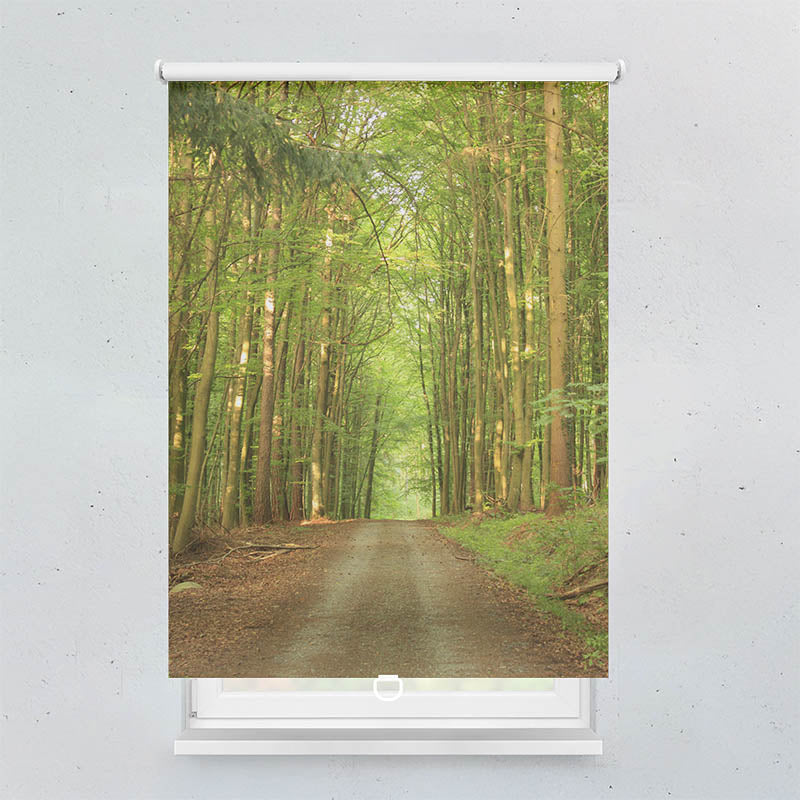 Plissee Motiv Bambuswald Weg