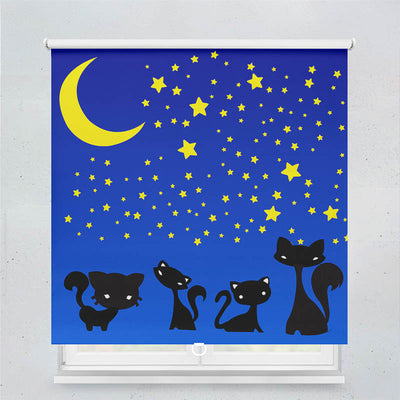 Plissee Motiv Katzen unter dem Sternenhimmel