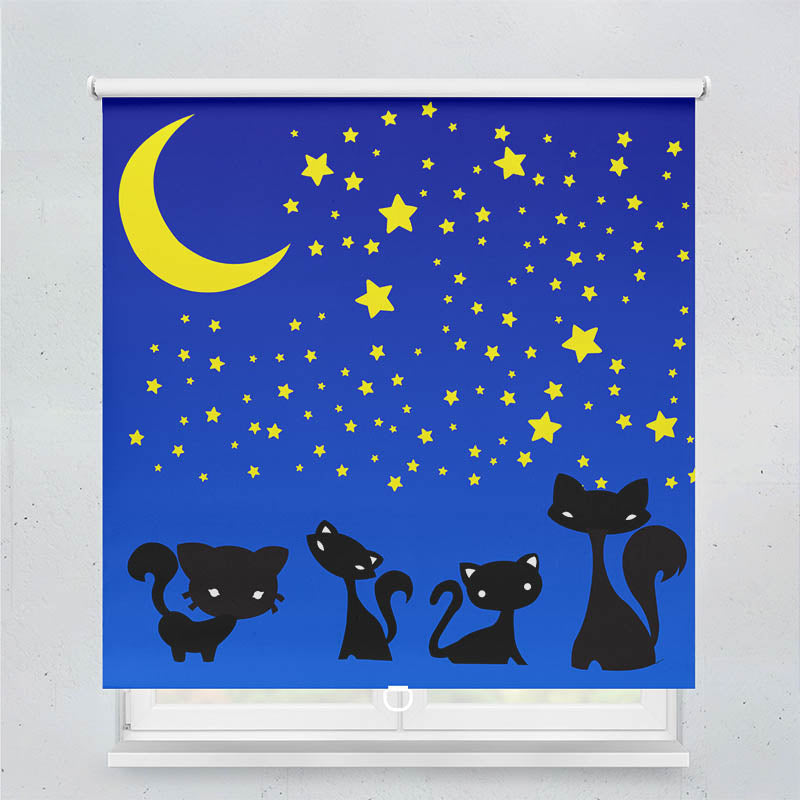 Plissee Motiv Katzen unter dem Sternenhimmel