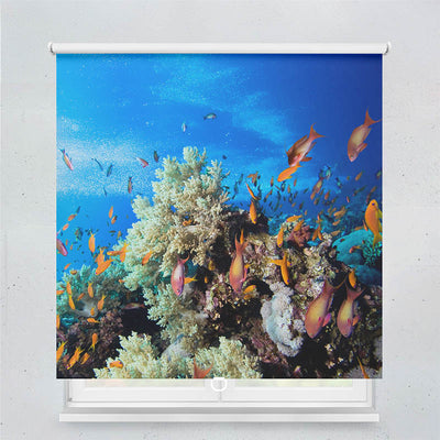 Plissee Motiv Korallen und Fische