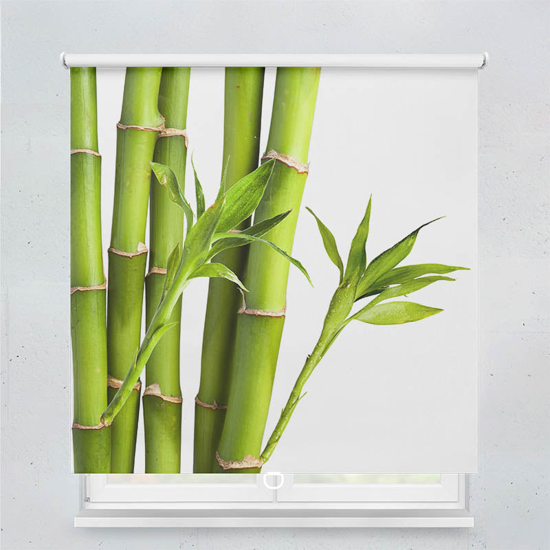 Plissee Motiv Bambus
