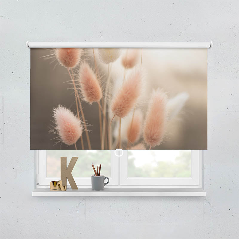 Plissee Motiv Flauschiges Hasenschwanzgras