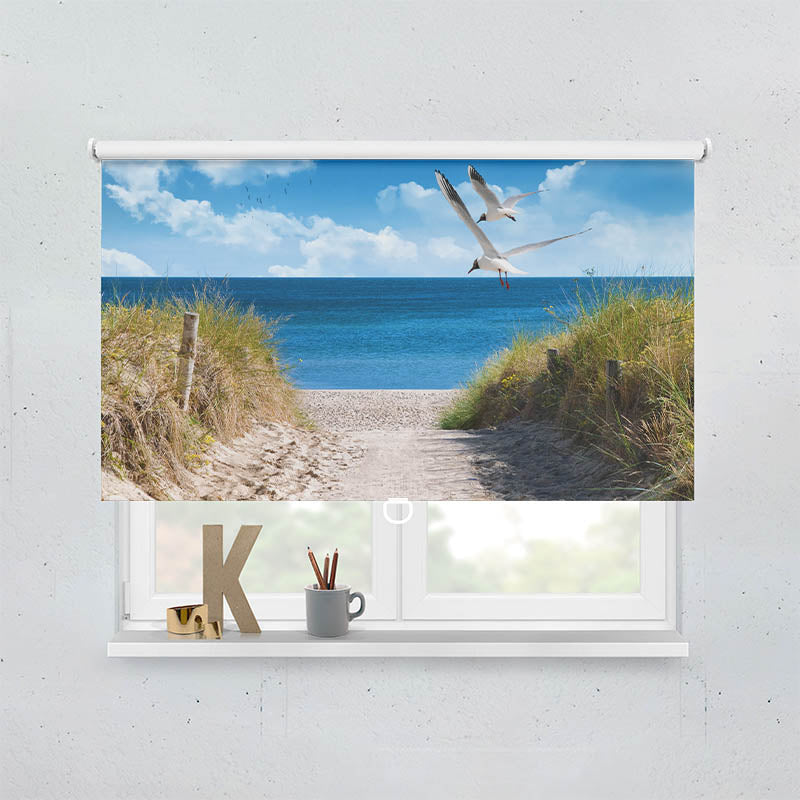 Plissee Motiv Duene Meer Moewen