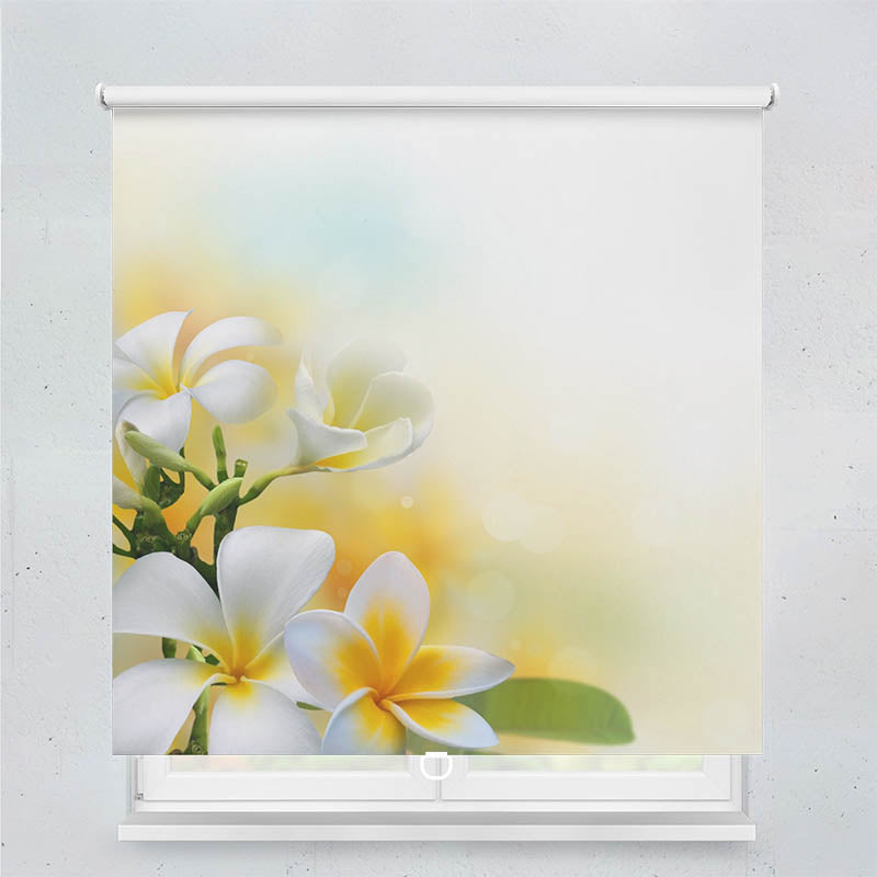 Plissee Motiv Frangipani