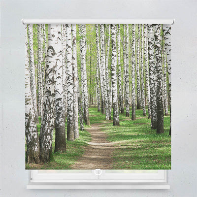 Plissee Motiv Birkenwald Weg