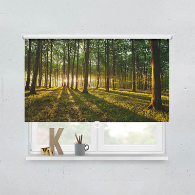 Plissee Motiv Sonnenstrahlen im Wald