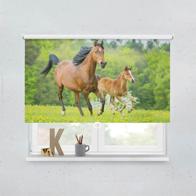 Plissee Motiv Pferd mit Fohlen