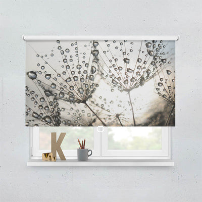 Plissee Motiv Pusteblume Tautropfen