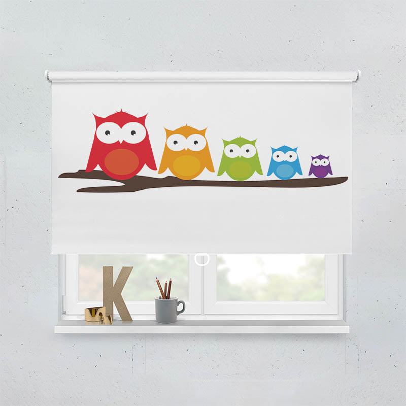 Plissee Motiv Bunte Eulen