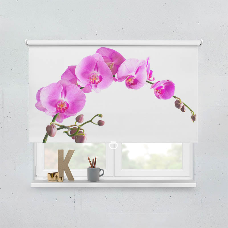 Plissee Motiv Orchidee