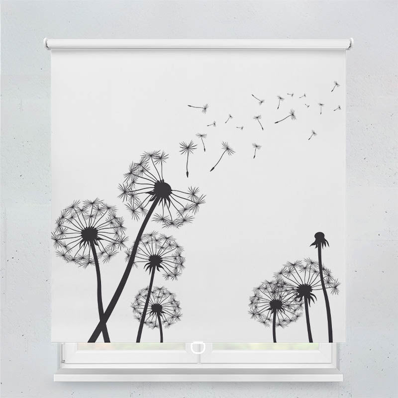 Plissee Motiv Pusteblumen Grafik