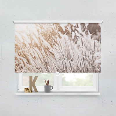 Plissee Motiv Pampas Gras