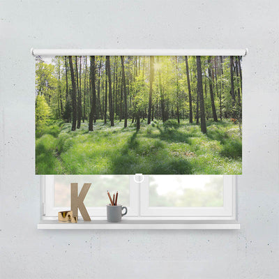 Plissee Motiv Wald Panorama