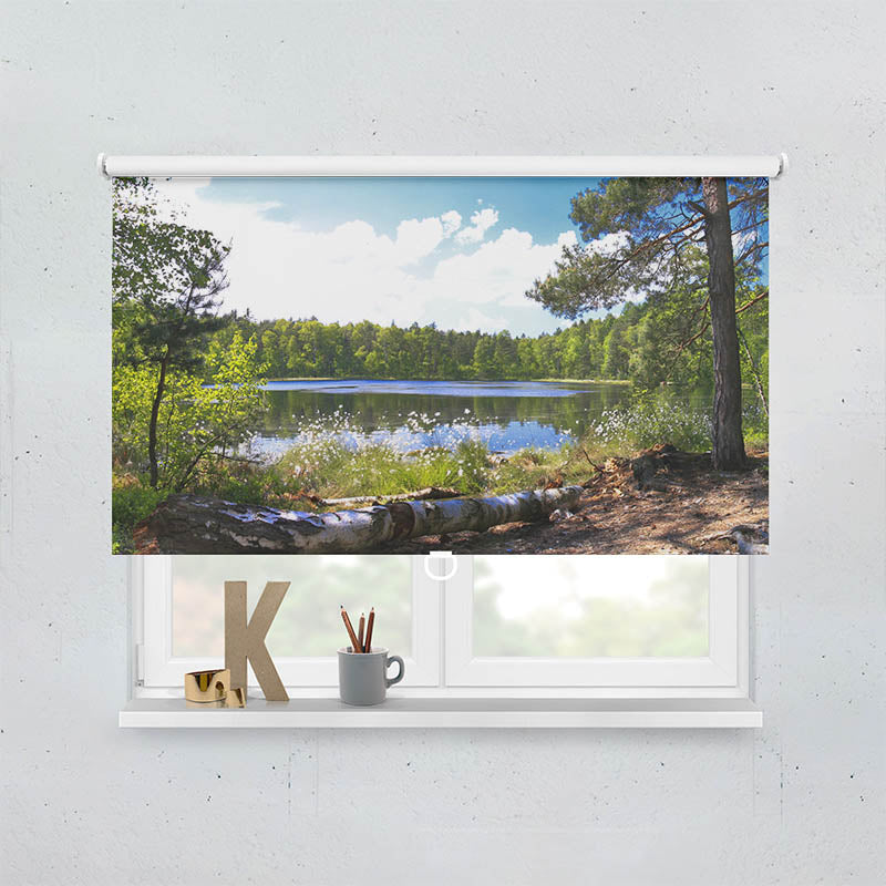 Plissee Motiv Waldsee Panorama