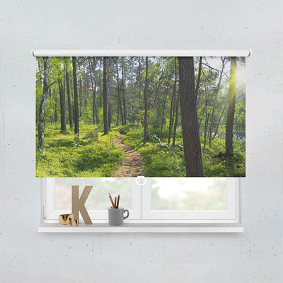 Plissee Motiv Wald Sonnenstrahlen Panorama