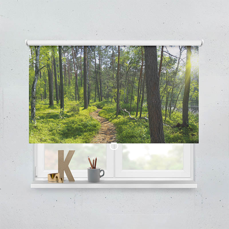 Plissee Motiv Wald Sonnenstrahlen Panorama