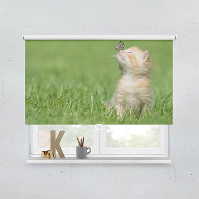 Plissee Motiv Kitten und Schmetterling