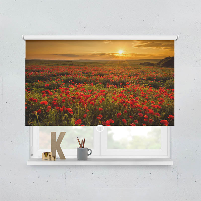 Plissee Motiv Mohnblumen Sonnenuntergang