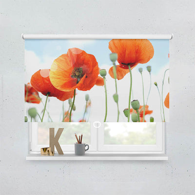 Plissee Motiv Mohnblumen Panorama