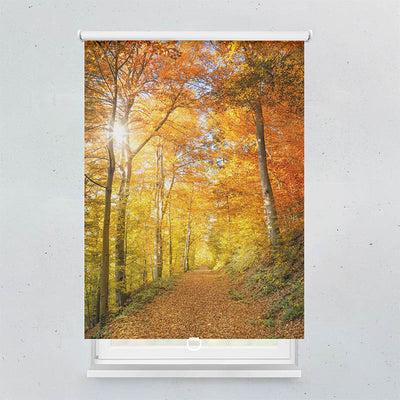 Plissee Motiv Waldweg Herbst