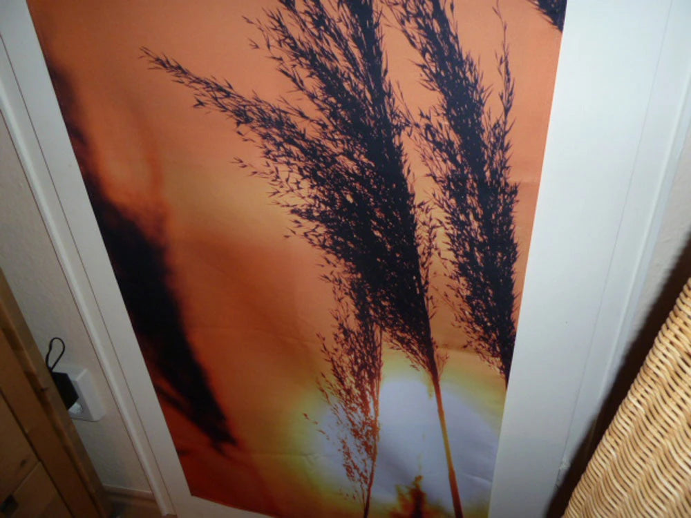 mit dem Motiv Schilf im Sonnenuntergang bedruckter Foto-Vorhang verdeckt die Scheibe einer Glastür