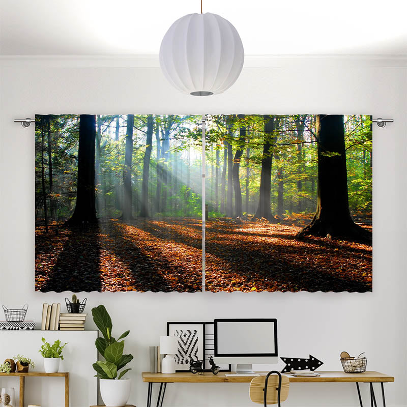 Vorhang Motiv Wald Laub Sonne
