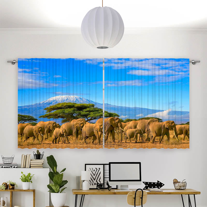 Vorhang Motiv Elefanten am Kilimandscharo