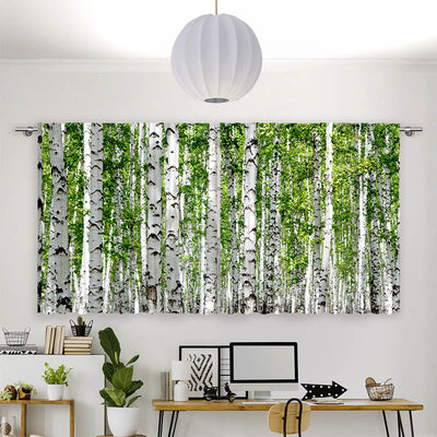 Vorhang Motiv Birkenwald
