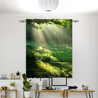 Vorhang Motiv Lichtung im Wald