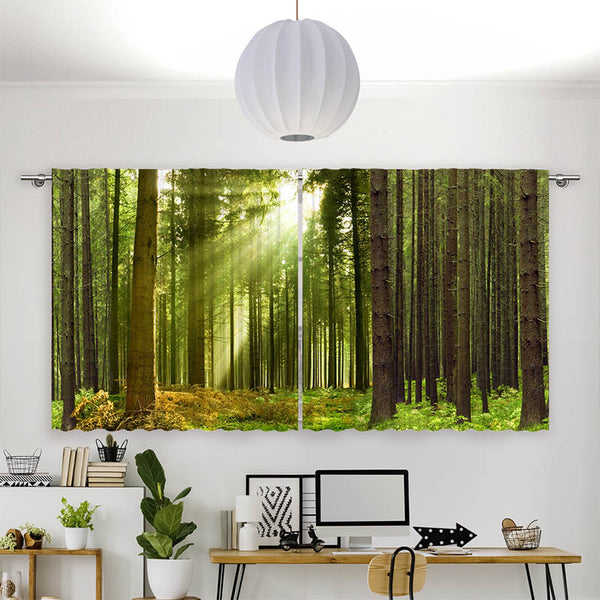 Vorhang Motiv "Sonnenstrahlen im Wald Panorama"