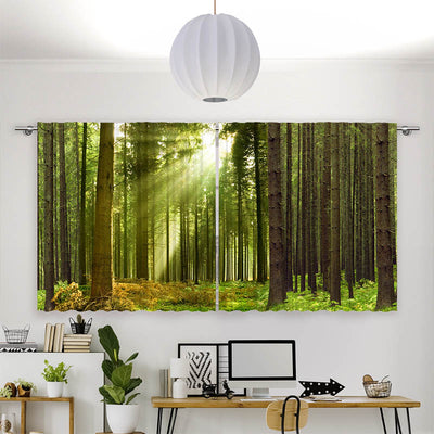 Vorhang Motiv Sonnenstrahlen im Wald Panorama