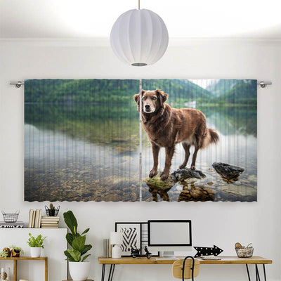 Vorhang Motiv Hund am Bergsee
