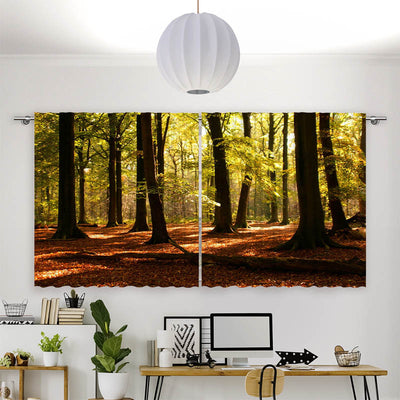 Vorhang Motiv Wald Sonnenstrahlen