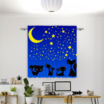 Vorhang Motiv Katzen Unter dem Sternenhimmel