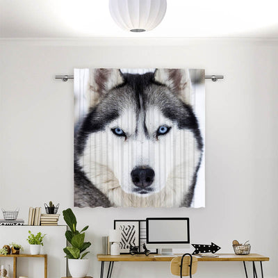 Vorhang Motiv Husky