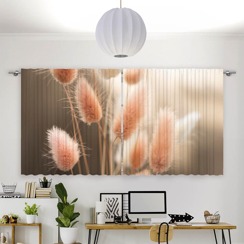 Vorhang Motiv Flauschiges Hasenschwanzgras