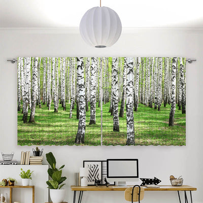 Vorhang Motiv Birkenwald