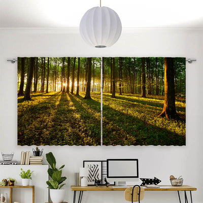 Vorhang Motiv Sonnenstrahlen im Wald