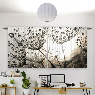 Vorhang Motiv Pusteblume Tautropfen