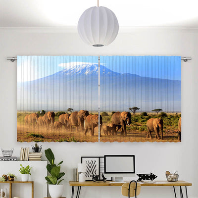 Vorhang Motiv Elefanten am Kilimandscharo