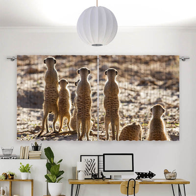 Vorhang Motiv Erdmaennchen