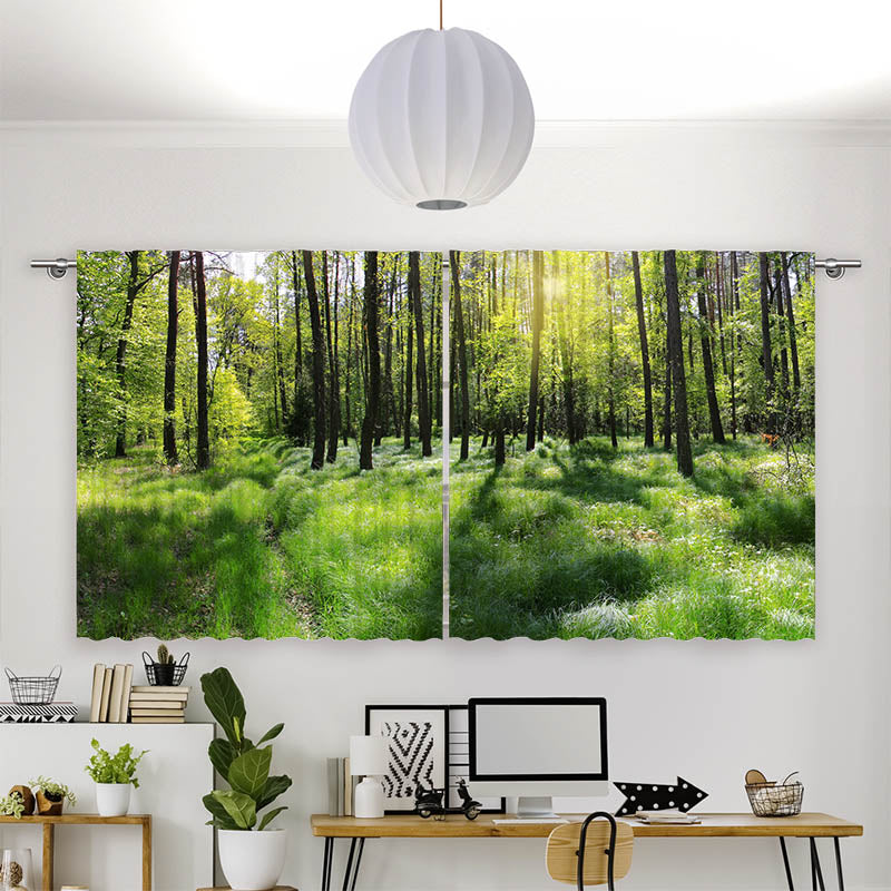 Vorhang Motiv "Wald Panorama"