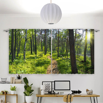 Vorhang Motiv Wald Sonnenstrahlen Panorama