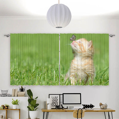 Vorhang Motiv Kitten und Schmetterling