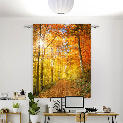 Vorhang Motiv Waldweg Herbst