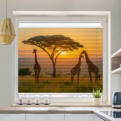 Wabenplissee Motiv Afrika Giraffen Savanne