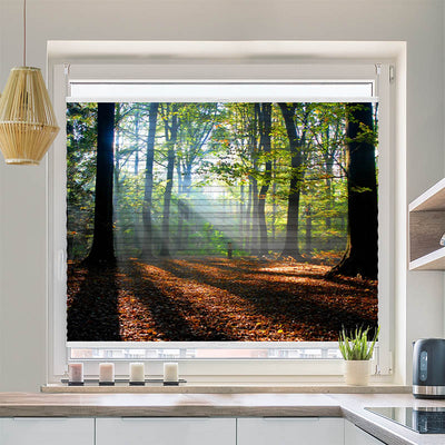 Wabenplissee Motiv Wald Laub Sonne