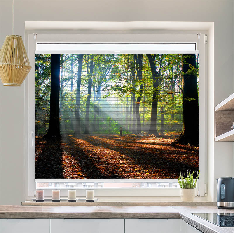 Wabenplissee Motiv Wald Laub Sonne